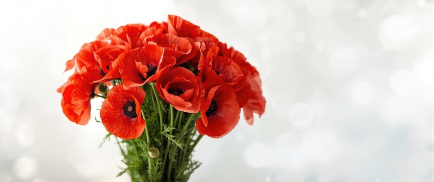 Background with a bouquet of red poppies