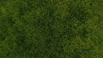 Fototapeta premium Aerial view of lush green grass, suitable for environmental awareness visuals, Earth Day