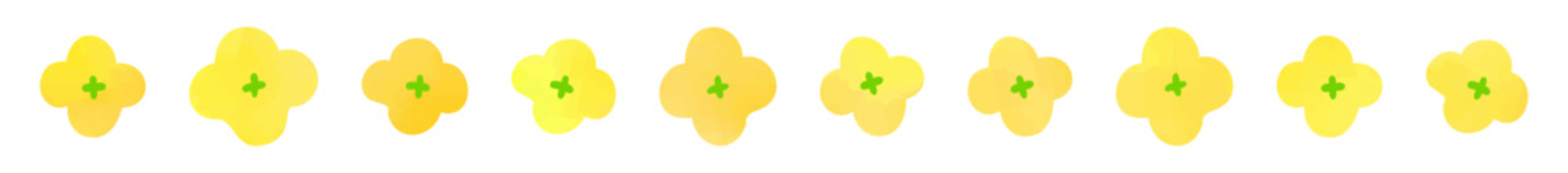 菜の花のライン