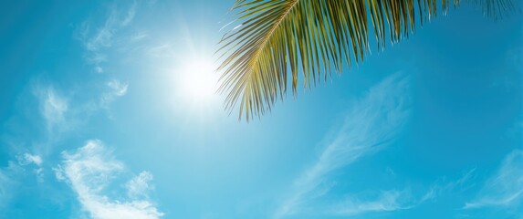Obraz premium Summertime spring sun flare with clear blue sky and palm coconut leaf