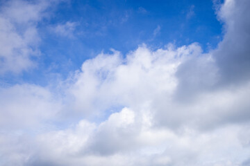 Obraz premium Beautiful Blue Sky with Soft White Clouds,A wide-angle shot of a bright blue sky filled with scattered, soft white clouds on a clear sunny day, perfect for use as a background or nature-themed design.