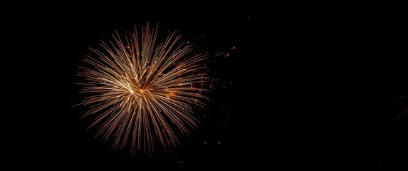 Fototapeta premium New Year Firework Festival: White Fire, Abstract Party, and Bright Stars