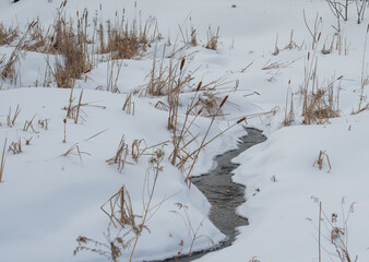 A stream in winter flows through snow and dormant plants