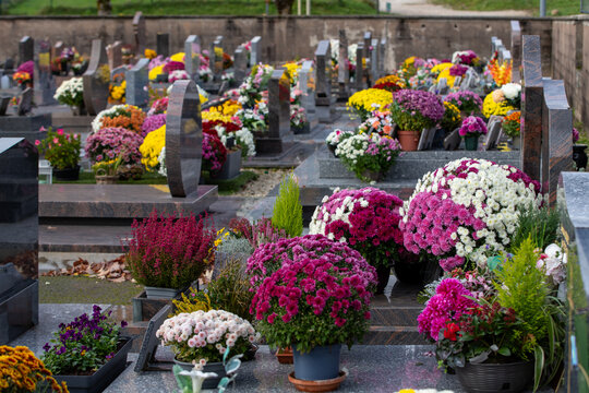Cimeti&egrave;re avec des s&eacute;pultures couvertes de fleurs fraiches &agrave; l'occasion de la Toussaint. France