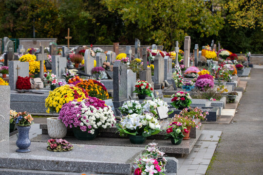 Cimeti&egrave;re avec des s&eacute;pultures couvertes de fleurs fraiches &agrave; l'occasion de la Toussaint. France