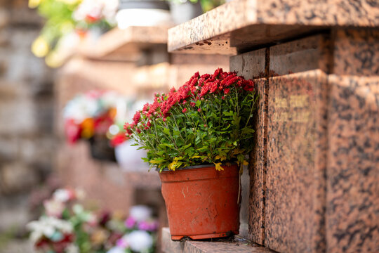 Bouquets de fleurs fraiches et multicolore d&eacute;pos&eacute;s sur un columbarium,  dans cimeti&egrave;re &agrave; l'occasion de la Toussaint. Monument de conservation des urnes fun&eacute;raires apr&egrave;s une cr&eacute;mation. France.