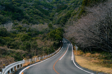 Fototapeta premium Guardrail and tarmac road through green vegetation and mountain landscape in Shikoku Island, Japan