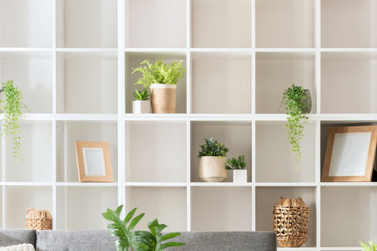 Modern Minimalist Living Room Interior Design Featuring a White Square-Spaced Bookshelf, Grey Sofa, and Plants, Neatly Organized for a Homey Ambience, Illuminated by Natural Light.