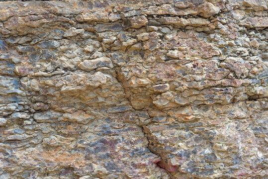 Various layers of rock are visible, showing different textures and colors. The image captures a close-up view of the rocky surface in a natural outdoor environment