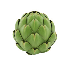 Fototapeta premium Green Artichoke Vegetable with Layered Leaves fresh isolated on Transparent Background
