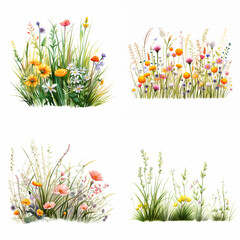 grass and flowers