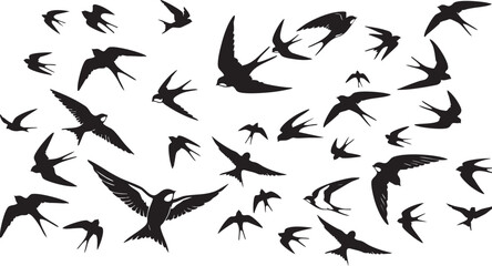 Fototapeta premium Silhouettes of numerous swift birds captured in dynamic flight create an abstract and dramatic pattern against a stark black background suggesting movement.