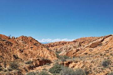 Fototapeta premium Scenic view of a rugged canyon landscape under a clear blue sky. Desert terrain with eroded rock formations and sparse vegetation for travel imagery.