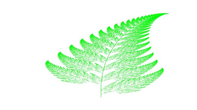 foug&egrave;re fractale 4K