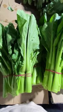 Fresh vegetable known as green sawi or choy sum sale at the traditional market