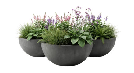 Three Modern Concrete Planters with Assorted Blooming Flowers and Greenery