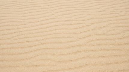 Obraz premium Close-up view generic sand forming gentle ripples across the desert landscape under soft light
