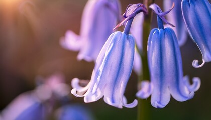 close up of a delicate bluebell flower capturing its intricate beauty and soft hues