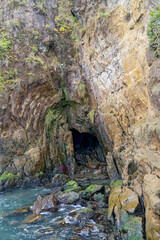 Fototapeta premium An opening to one of the abandoned tunnels near Coos Bay, Oregon, USA