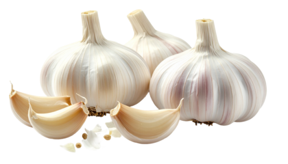 Detailed macro shot of fresh raw garlic bulbs and separated cloves with peels. Healthy organic vegetable and pungent spice for cooking and seasoning, isolated on a transparent background.