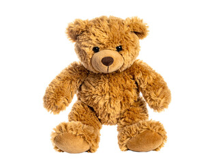 Obraz premium Fluffy brown plush teddy bear with button eyes and a stitched nose