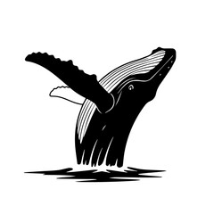 A black and white illustration of a humpback whale breaching from the water with its tail fluke raised high. © Maulana