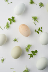 farmer's organic eggs top view. easter vibe