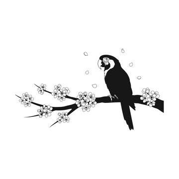 Tropical Parrot on a Blossoming Branch, A stunning monochrome illustration of a vibrant parrot perched gracefully upon a blossoming branch, surrounded by delicate falling petals, cherry tree
