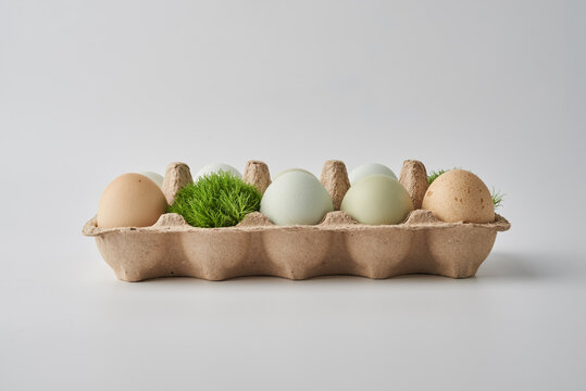 farmer's organic eggs. easter vibe