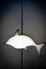Dolphin on a piece of wood