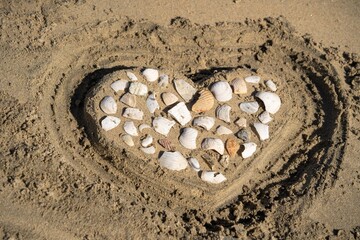 shells in a heart shape in the sand
