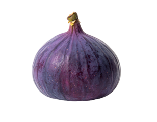 A single, ripe, purplish-blue fig with a green stem, isolated on a black background