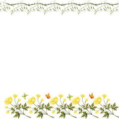 Watercolor yellow globeflower border with butterflies, meadow grasses, hand painted botanical design