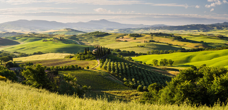 Blick vom Aussichtspunkt Belvedere, San Quirico d'Orcia, Toskana, Italien
