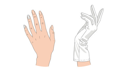 Obraz premium Comparison between a bare human hand with manicured nails and an elegant hand wearing a white formal evening dress glove.
