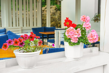 Cozy outdoor cafe, bistro or restaurant terrace exterior decorated with blooming flowers in pots. Summer restaurant seating, relaxing atmosphere, urban leisure space with fresh floral decor.