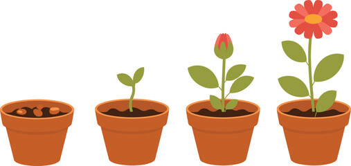 Obraz premium Cartoon flowering plant growth stages icon set with seed, sprout, leafy stem, bud, and full bloom in terracotta pots.