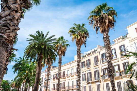 Historische H&auml;userfront mit Palmen im s&uuml;ditalienischen Brindisi in Apulien