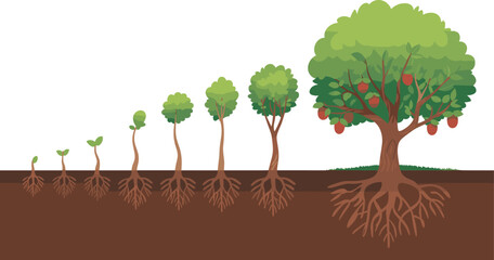 Obraz premium Cartoon tree growth stages icon set with seedling, expanding roots, leafy stem, and mature fruit-bearing tree lifecycle.