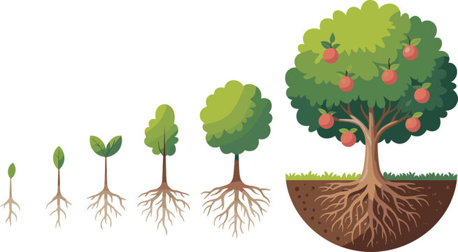 Cartoon tree growth stages icon set with sprout, leafy stem, expanding roots, and mature fruit-bearing apple tree lifecycle.
