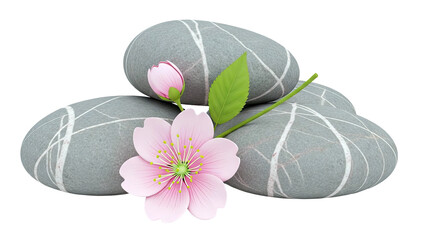 Zen Stones and Cherry Blossom