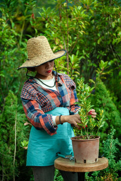 Woman Gardening with Potted Plant