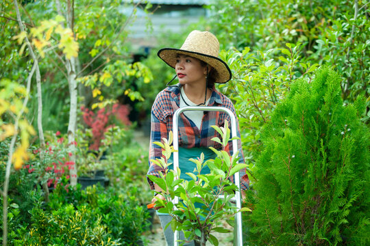 Gardener Transporting Plant in Nursery