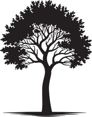 Obraz premium Majestic leafy tree silhouette with broad sprawling branches and dense foliage canopy standing isolated on white background, ideal for environmental conservation projects and nature landscape designs