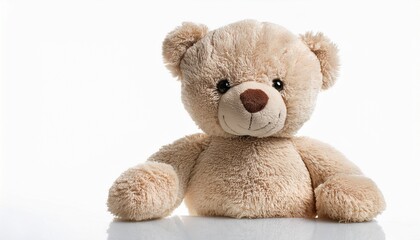 Obraz premium Teddy Bear Isolated On White