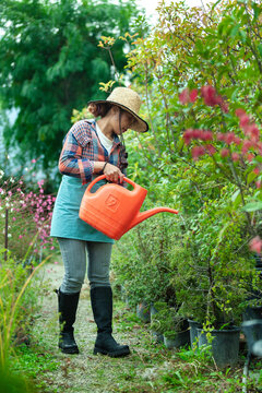 Woman Watering Plants in a Garden