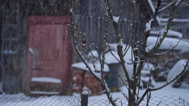 rural courtyard with outbuildings during a snowfall, winter day