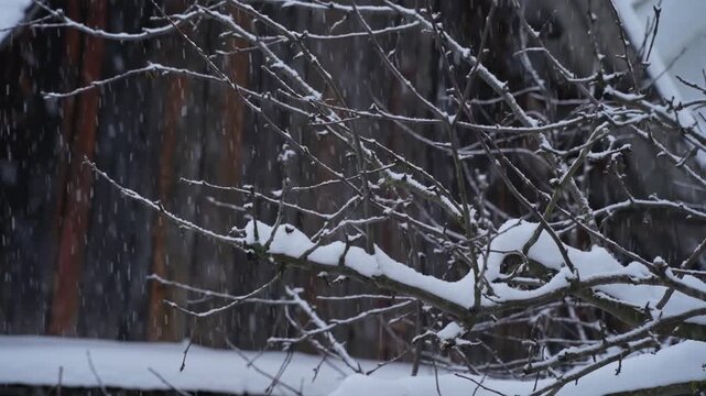 rural courtyard with outbuildings during a snowfall, winter day