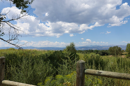 Front Range Mountain View Behind a Grassy Green Field in Longmont, Colorado