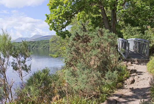 Bridge on the West Highland Way at Balmaha, with views over Loch Lomond to Ben Lomond. Southern Highlands of Scotland.